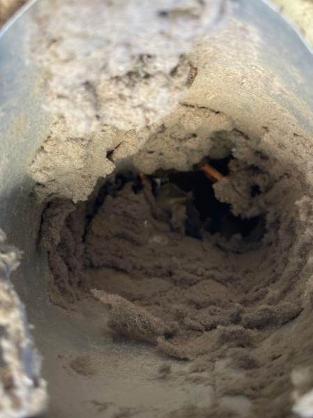 contact about dryer vent cleaning ca air duct cleaning ca dryer vent cleaning in van nuys air duct cleaning in van nuys contact about dryer vent cleaning ca air duct cleaning ca dryer vent cleaning in van nuys air duct cleaning in van nuys